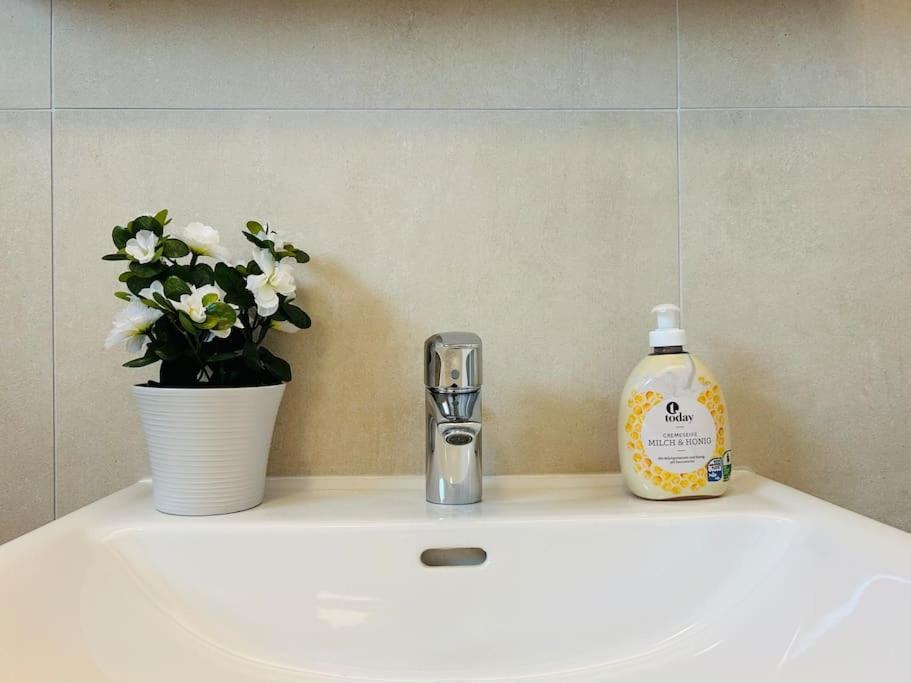 Modern Stylish With Garden Wien