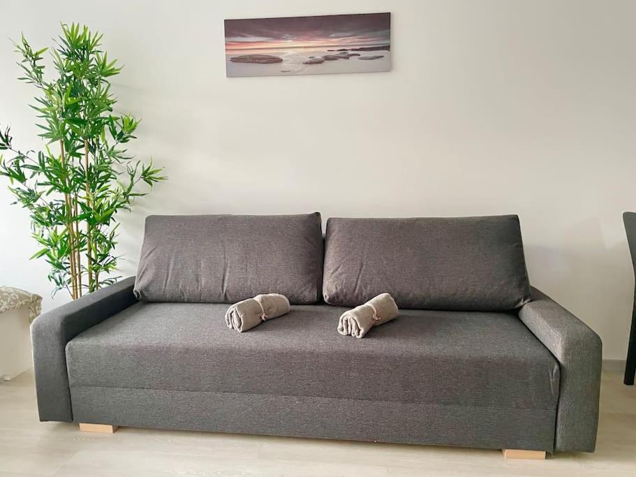 Apartment Modern Stylish With Garden Wien
